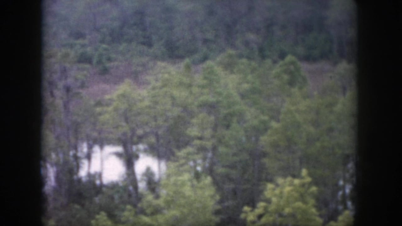 1958 Dayton, Ohio home-movie frame with dense trees, pale snow or reflected light, and a dark vertical window bar in the foreground.