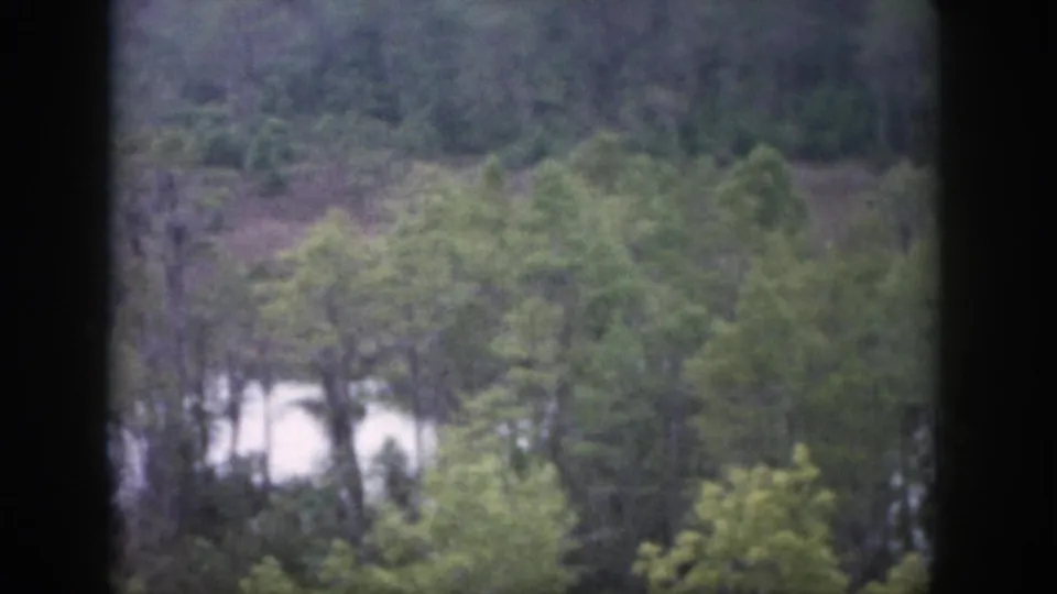 1958 Dayton, Ohio home-movie frame with dense trees, pale snow or reflected light, and a dark vertical window bar in the foreground.