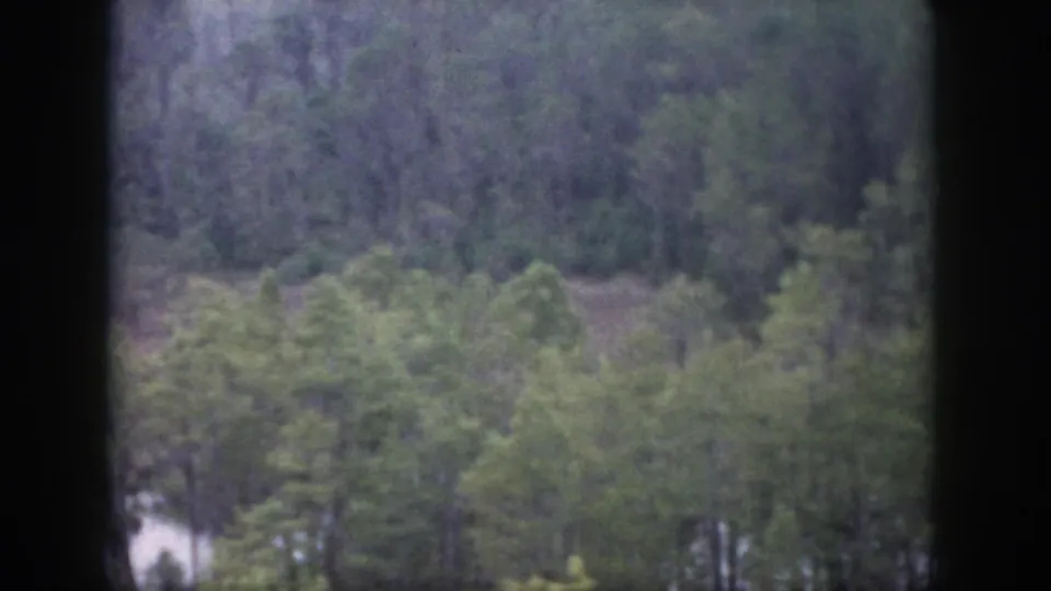 1958 8mm frame from the Dayton, Ohio clip, showing a lower section of wooded slope with green trees and pale patches through a window.