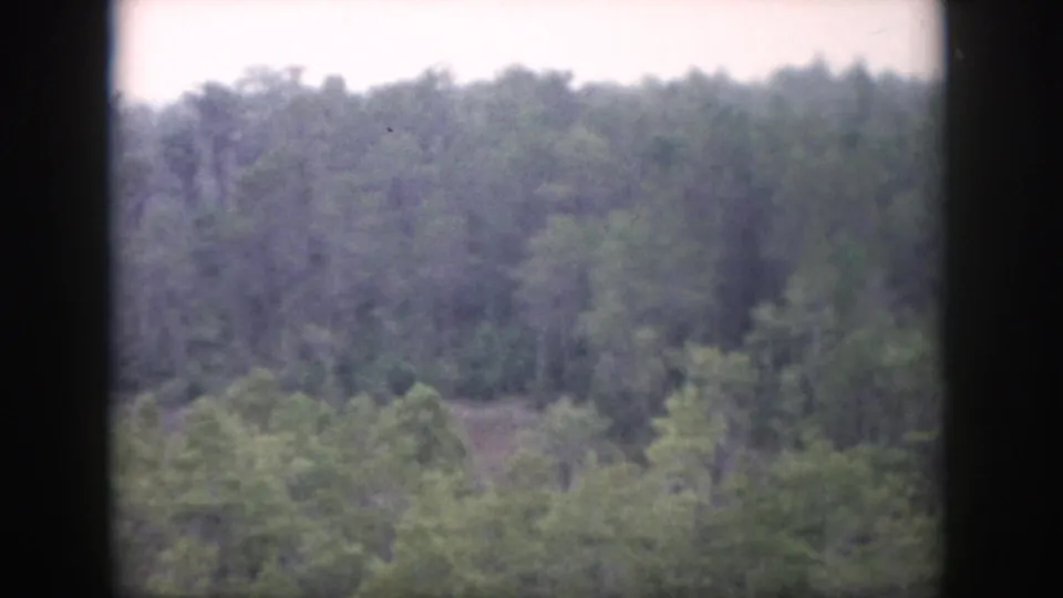1958 Dayton, Ohio home-movie view of a soft, tree-covered hillside with a pale sky area and dark window framing at the edges.