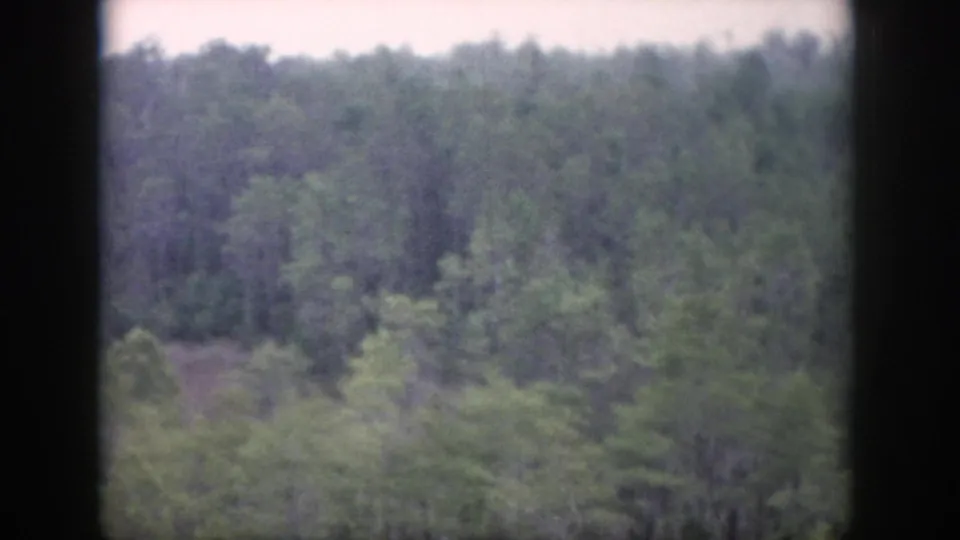 1958 Dayton, Ohio home-movie frame with an elevated view over trees, faint sky, and dark vertical framing at the sides.
