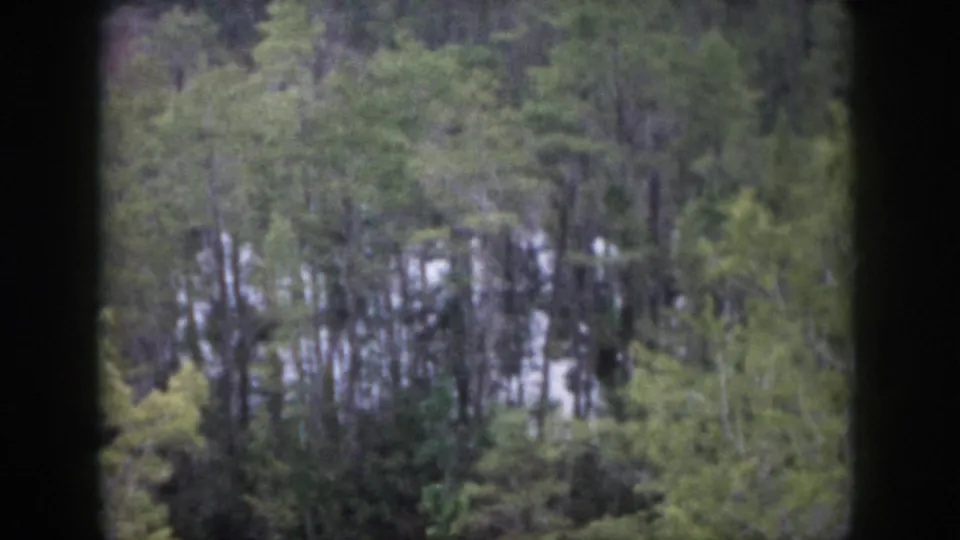 1958 Dayton, Ohio home-movie frame showing green woods and reflective water, divided by a dark vertical window or film edge.
