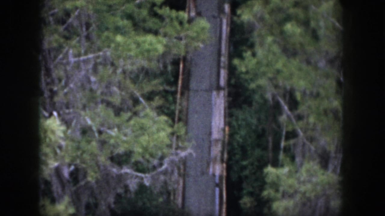 1958 Dayton, Ohio 8mm frame showing trees and green foliage seen through dark vertical window bars.