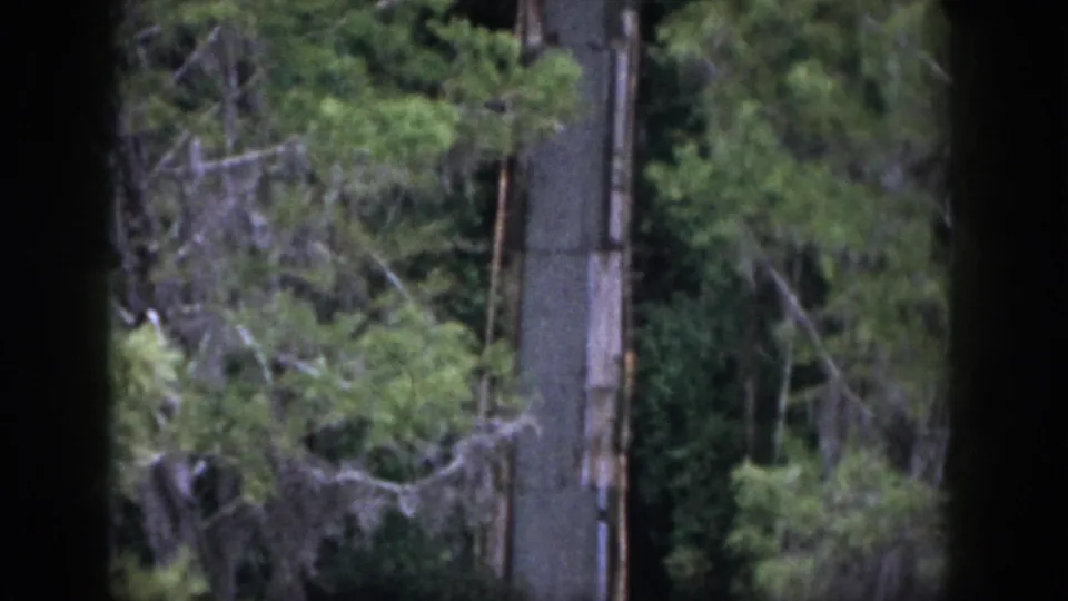 1958 Dayton, Ohio 8mm frame showing trees and green foliage seen through dark vertical window bars.