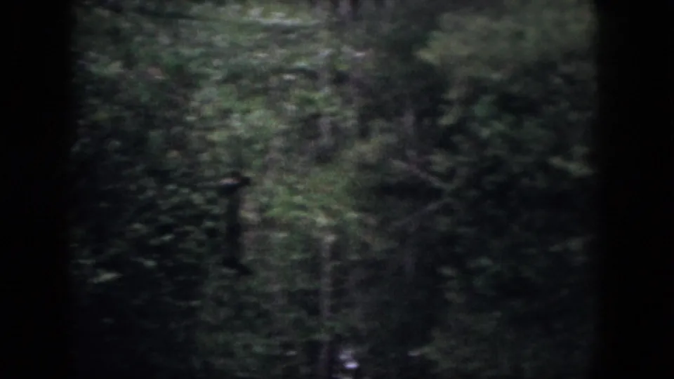 1958 Dayton, Ohio 8mm frame looking forward through woods, with trees, brush, and dappled light in soft focus.