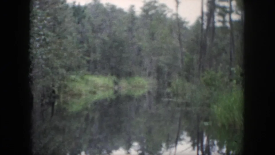 1958 Dayton-area 8mm view of still water reflecting a wooded bank, reeds, and tree trunks in soft color.