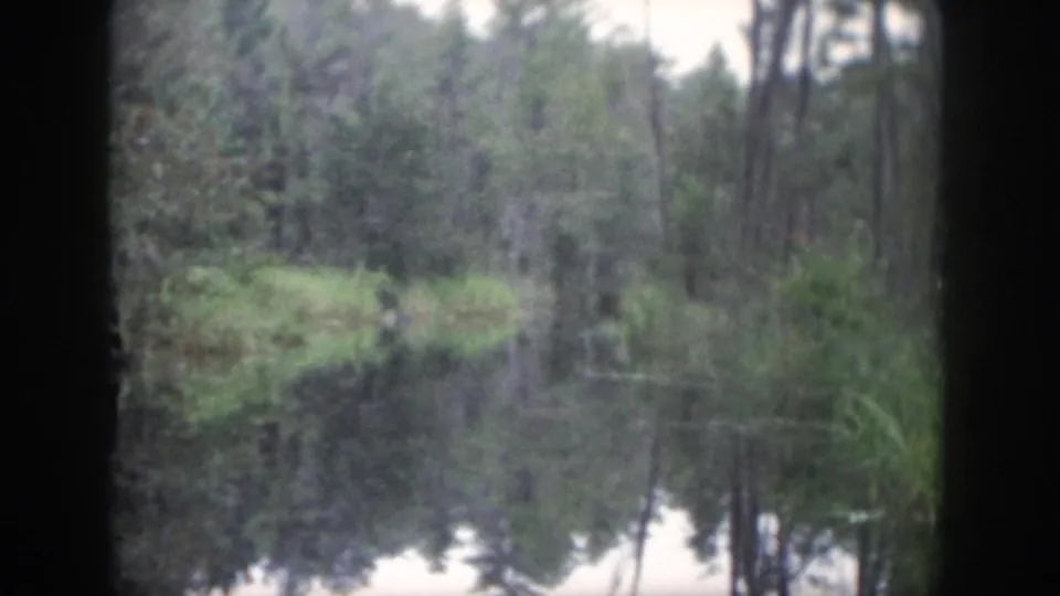 1958 Dayton-area 8mm frame with a quiet river or lake edge, dense woods, bank plants, and reflected trees.
