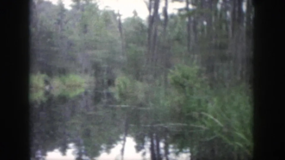 1958 Dayton-area 8mm frame showing reeds, trees, and calm reflective water in a wooded natural setting.