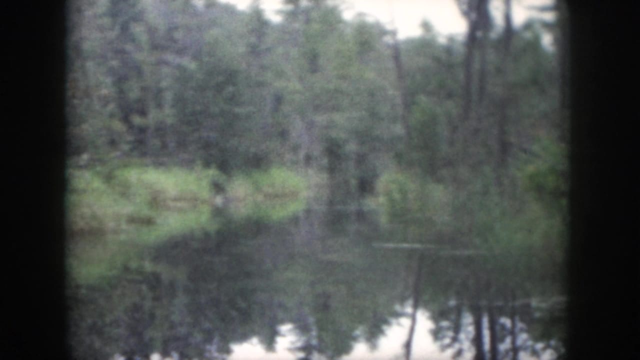 1958 Dayton, Ohio home-movie frame showing a calm wooded stream with tree reflections and dense banks.
