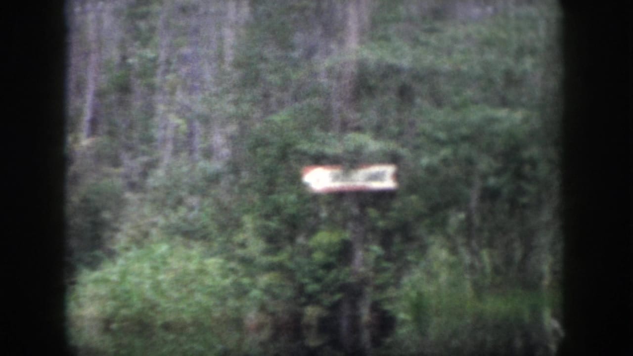1958 Dayton 8mm frame with a pale wooden signpost partly hidden among trees, brush, and tall green vegetation.