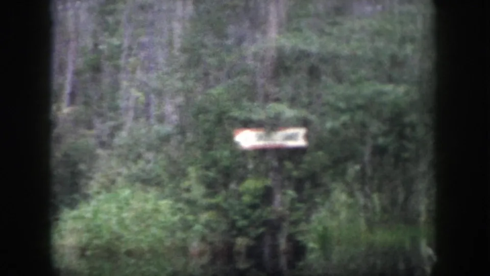 1958 Dayton 8mm frame with a pale wooden signpost partly hidden among trees, brush, and tall green vegetation.