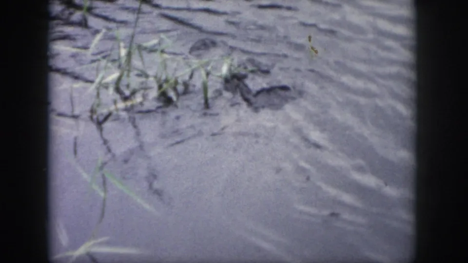 1958 Dayton 8mm frame showing a muddy riverbank with shallow ripples, scattered grasses, and dark natural debris along the edge.