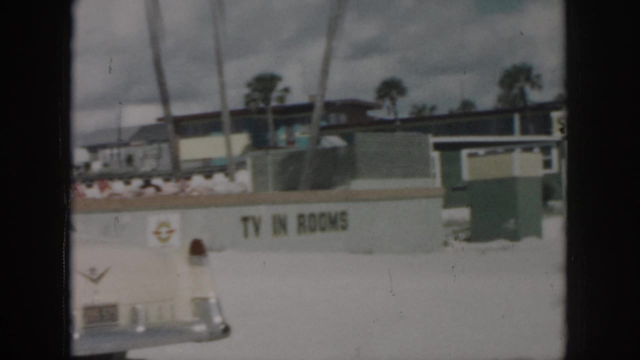 1958 New Orleans roadside view showing a TV in Rooms sign on a low building, palm trees, and the edge of a parked car.