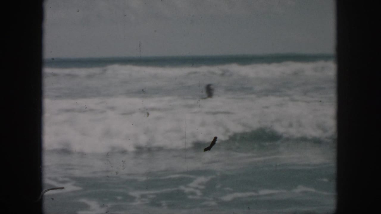 Foamy ocean waves with a distant swimmer near the surf line.