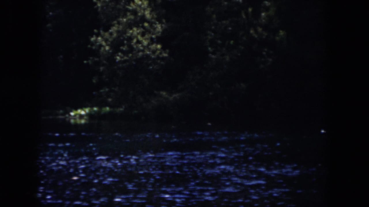 Dark river surface with blue reflections and trees along the far bank.