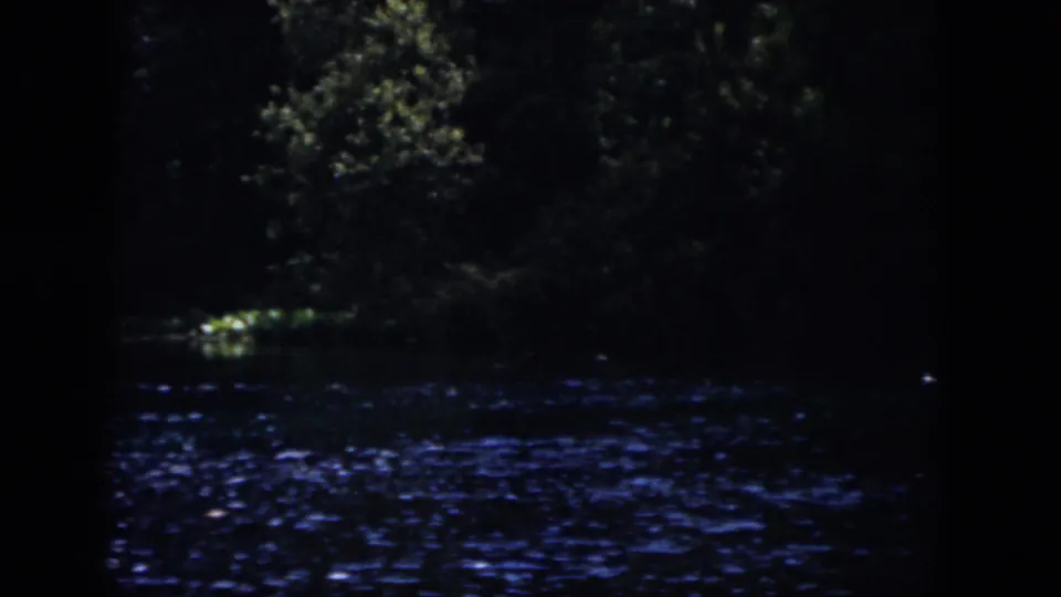 A dark New Orleans waterway at night, with blue reflections across the rippling surface and dense trees in shadow.