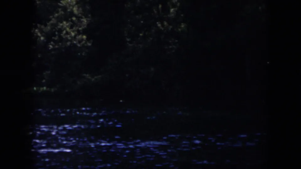 Underexposed 8mm frame of a wooded New Orleans waterway, showing rippling water, blue highlights, and heavy tree shadows.