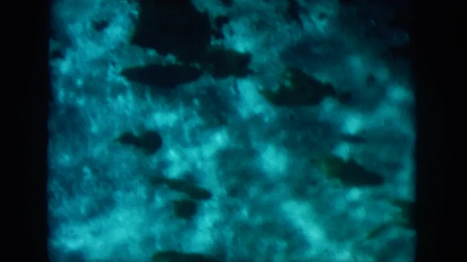 Vintage 8mm frame showing blurred blue-green underwater texture with larger dark fish-like forms crossing the lower half.