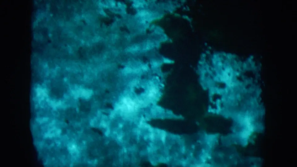 Final 1958 underwater frame with grainy blue-green water, clustered dark aquatic silhouettes, and a brighter textured area at right.