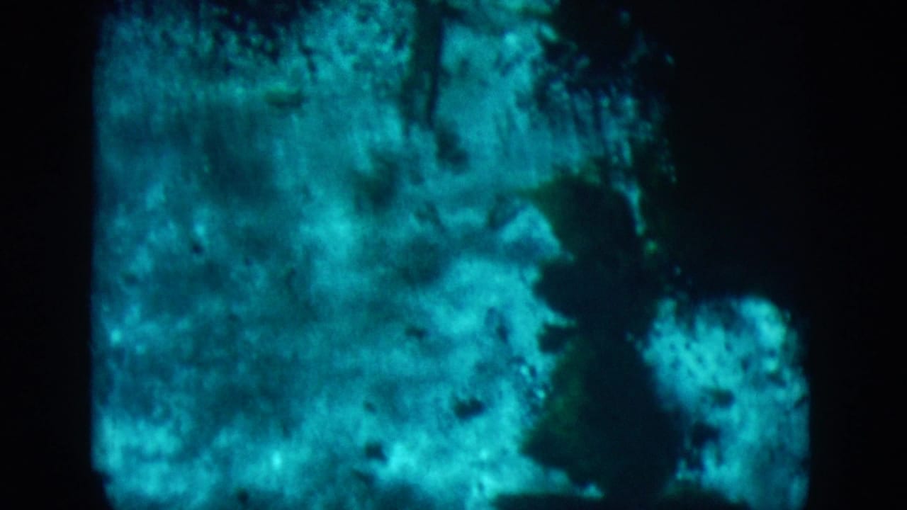 1958 8mm frame from New Orleans metadata showing murky blue-green water, dark shadows, and soft rock-like shapes.