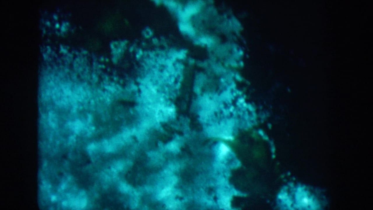 Dark underwater view with bright cyan patches and irregular rock or sand shapes.