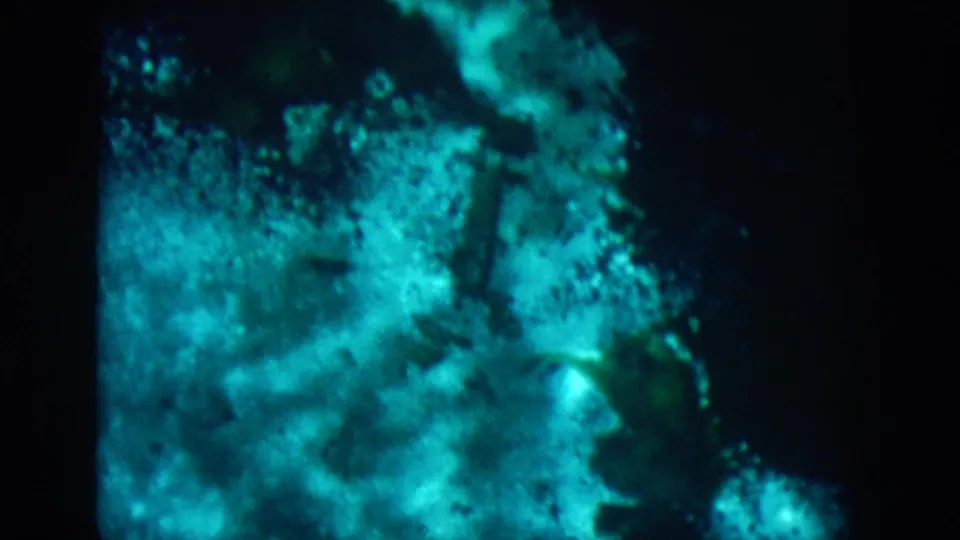 1958 8mm New Orleans footage frame with cyan water glow, dark surrounding areas, and indistinct submerged forms.