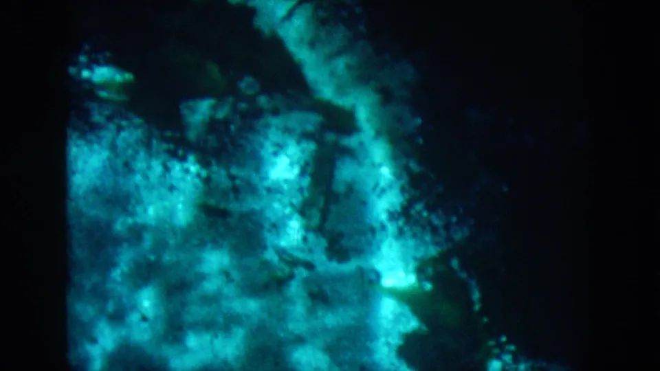 1958 8mm frame showing blue-green murky water, a dark horizontal band, cloudy texture, and pale submerged-looking shapes.