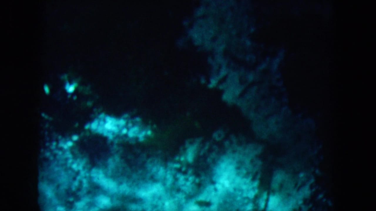 1958 8mm underwater vacation frame with dark blue-green water, glowing turquoise patches, and indistinct plant or rock forms.
