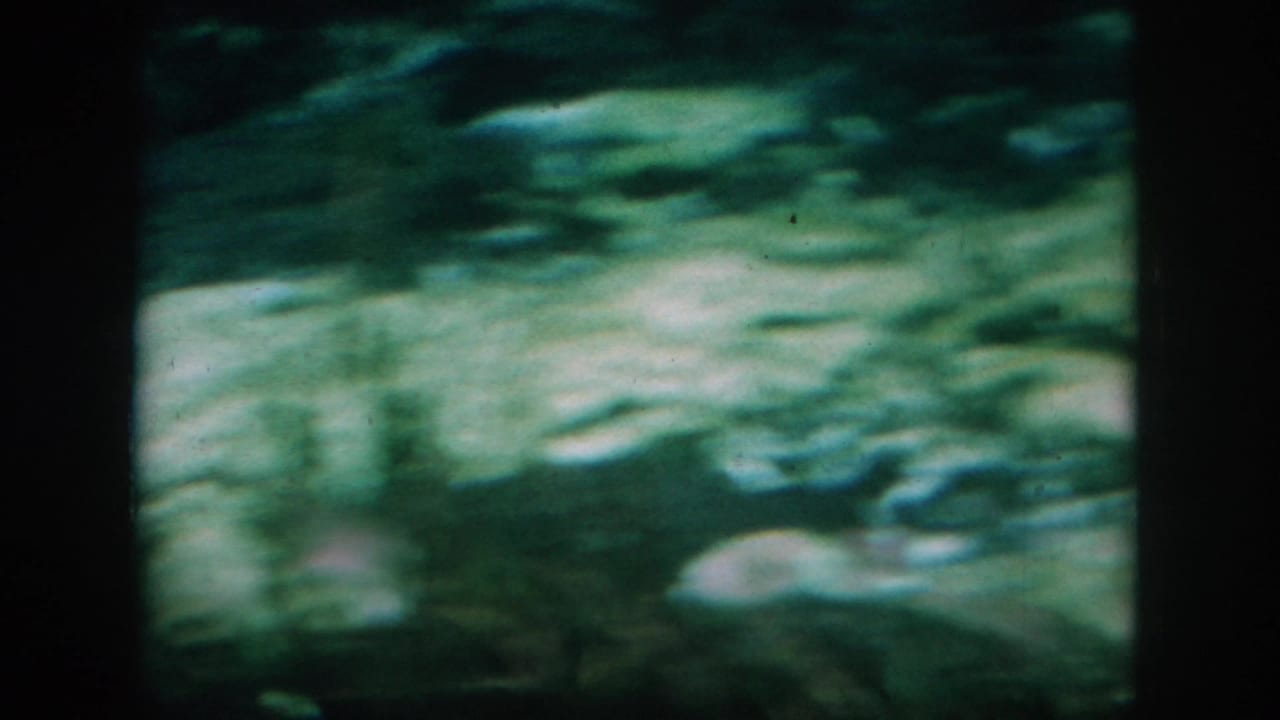 Soft underwater view of a pale sandy or rocky bottom under green water.