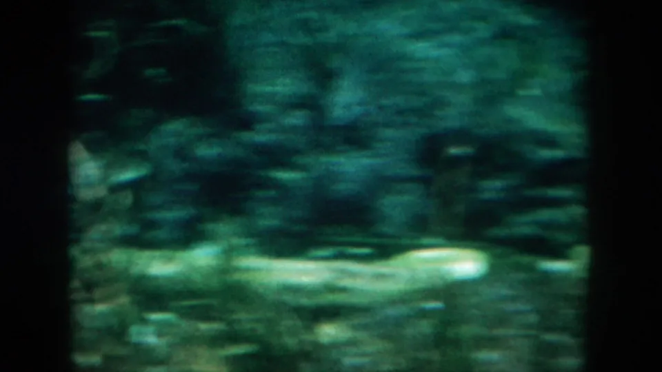 1958 New Orleans metadata supports this murky 8mm underwater view, where the camera skims past a textured bottom and dark water shapes.