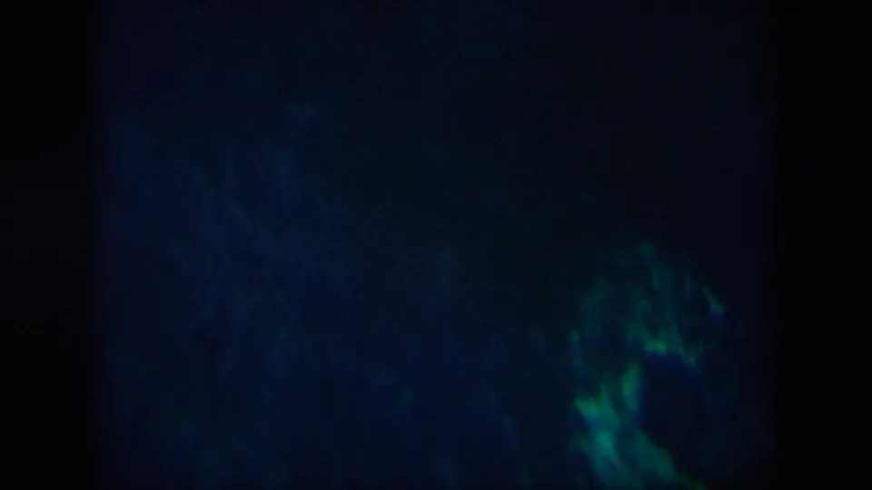 Dark final 8mm underwater frame with deep blue-green water, faint plant-like forms, and visible exposure falloff.