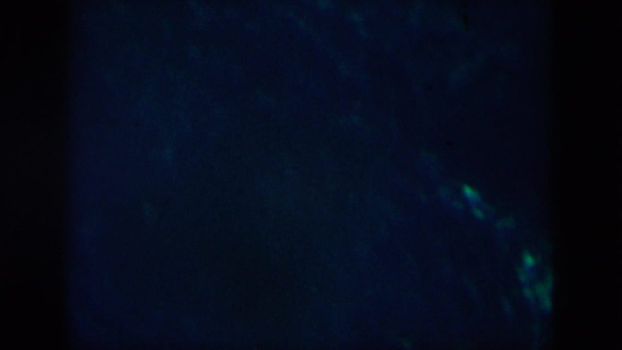 1958 8mm frame associated with New Orleans showing dim blue water, faint green glow, and soft grainy texture.
