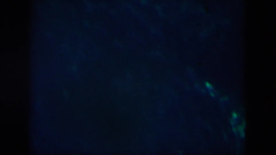 1958 8mm frame associated with New Orleans showing dim blue water, faint green glow, and soft grainy texture.