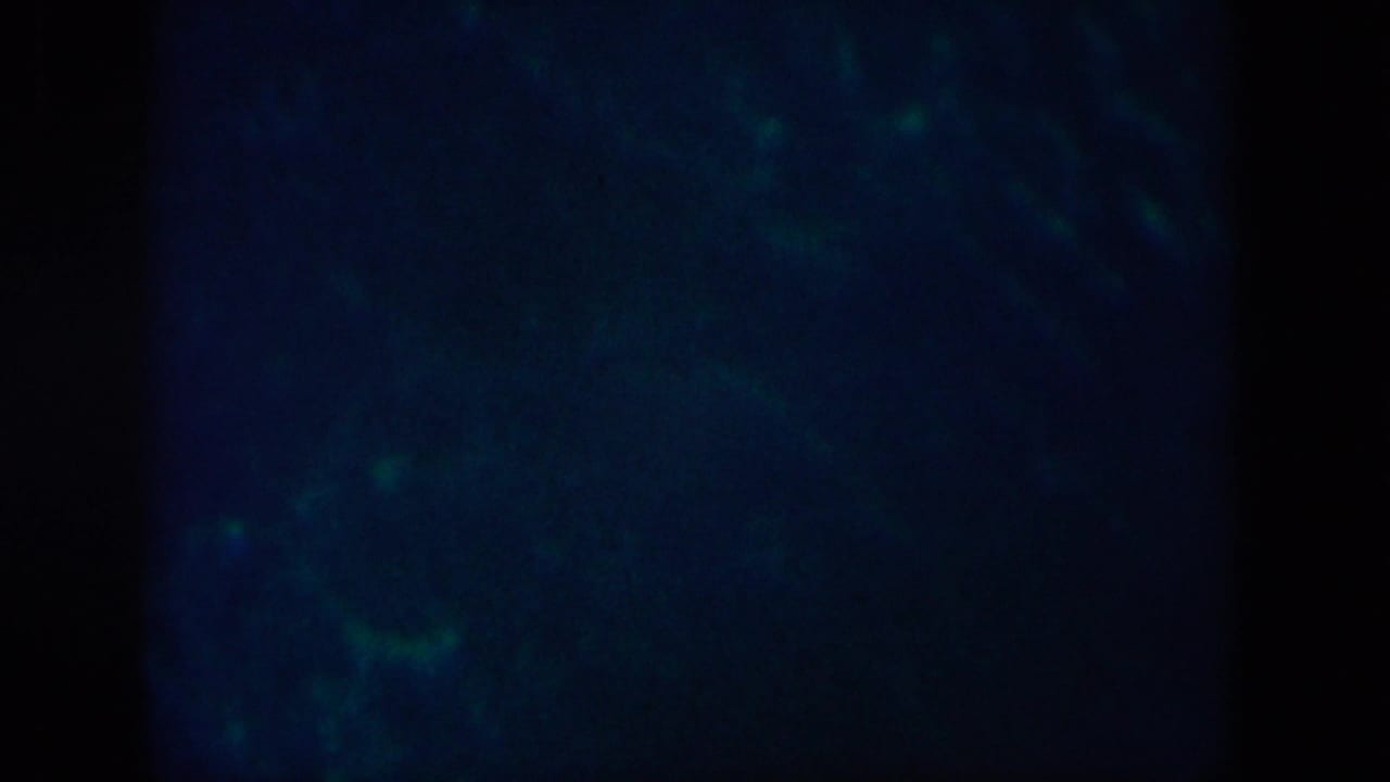 Deep blue underwater view with scattered green highlights and a dark vertical band.