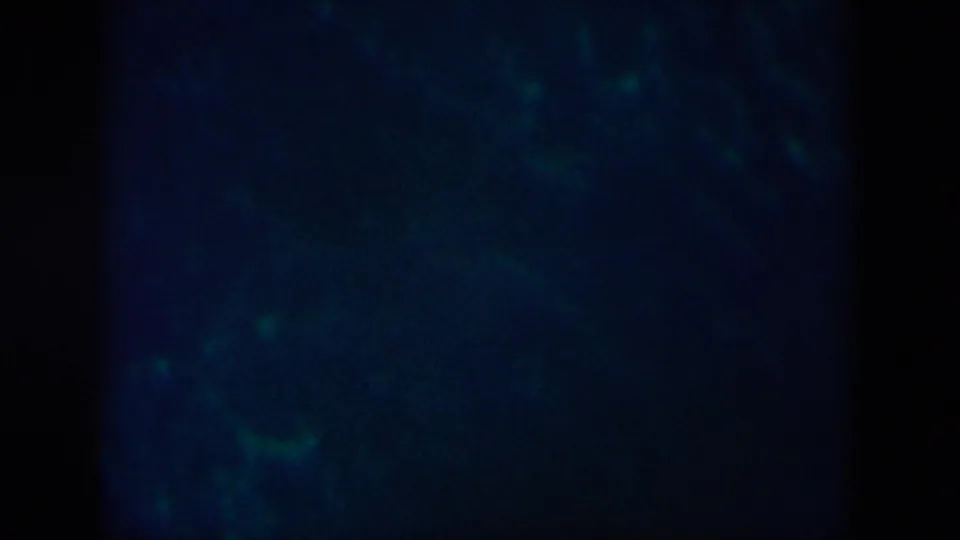 1958 8mm frame linked to New Orleans showing blue water, green luminous flecks, and a central dark film division.