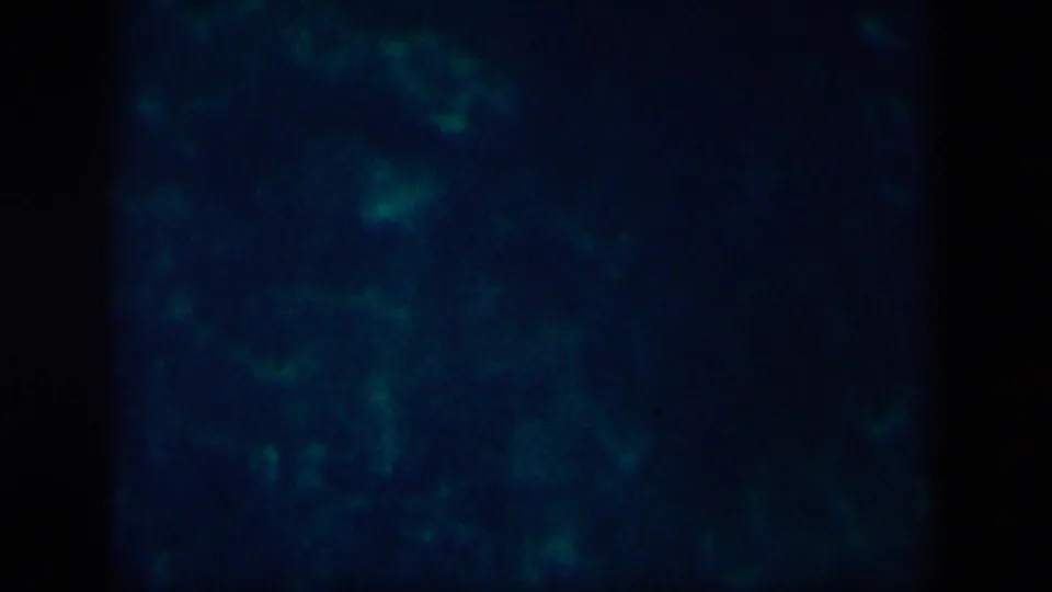 1958 8mm frame associated with New Orleans showing murky blue-green water, diffuse glow, and dark film borders.