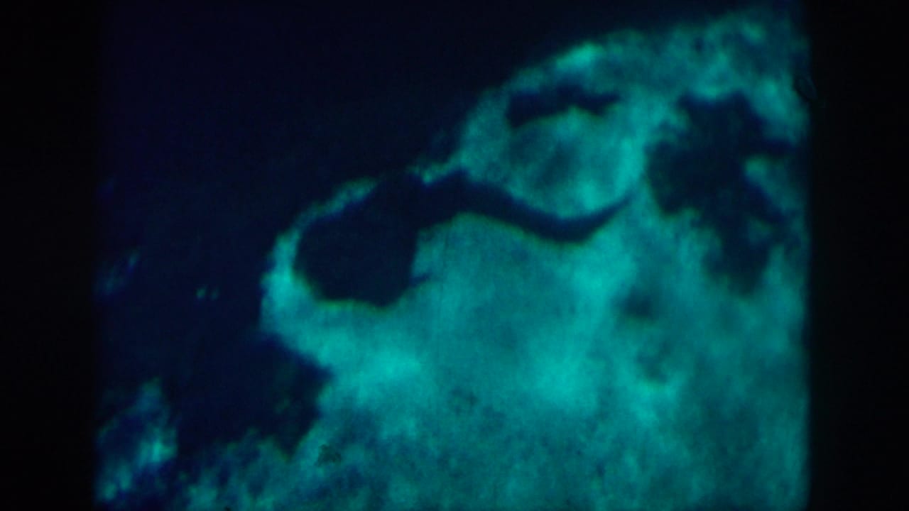 Bright turquoise water reflections with darker curved shapes near the upper edge.