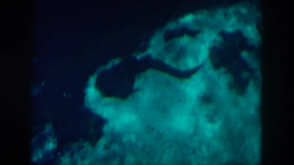 Abstract 1958 8mm frame from the New Orleans reel with turquoise reflected light and dark curved water shapes.