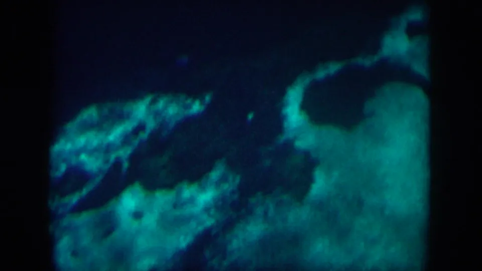 1958 New Orleans home-movie frame showing blue-green water light over a dark, soft-textured surface.