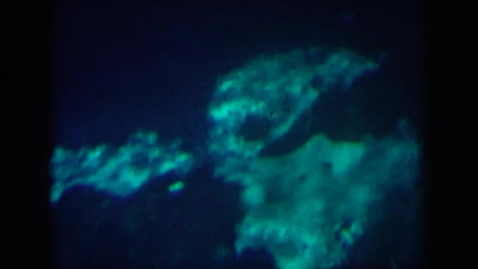 Final 1958 8mm frame from the New Orleans reel with drifting turquoise reflection patterns on dark water.