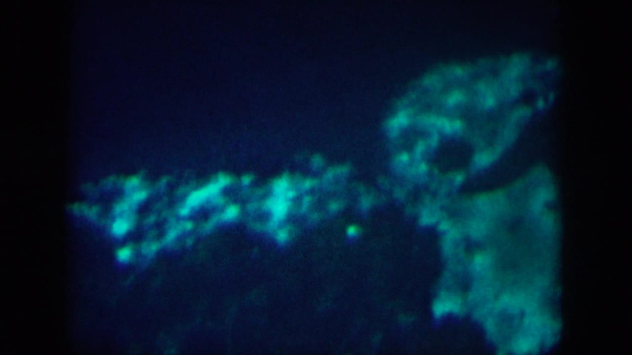1958 8mm home-movie frame from New Orleans metadata showing dark water and soft green light patterns underwater.