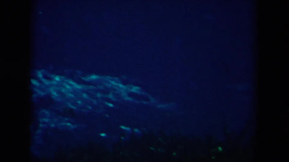 1958 8mm frame showing blue-green underwater ripples and dark surrounding water, based on supplied New Orleans metadata.
