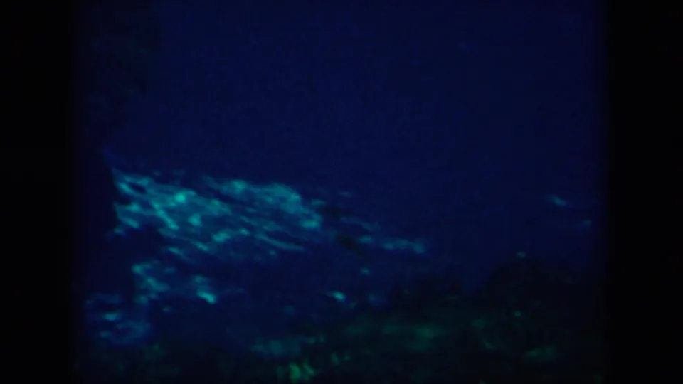 1958 New Orleans metadata frame with dim underwater blue tones and green rippled highlights near the bottom.