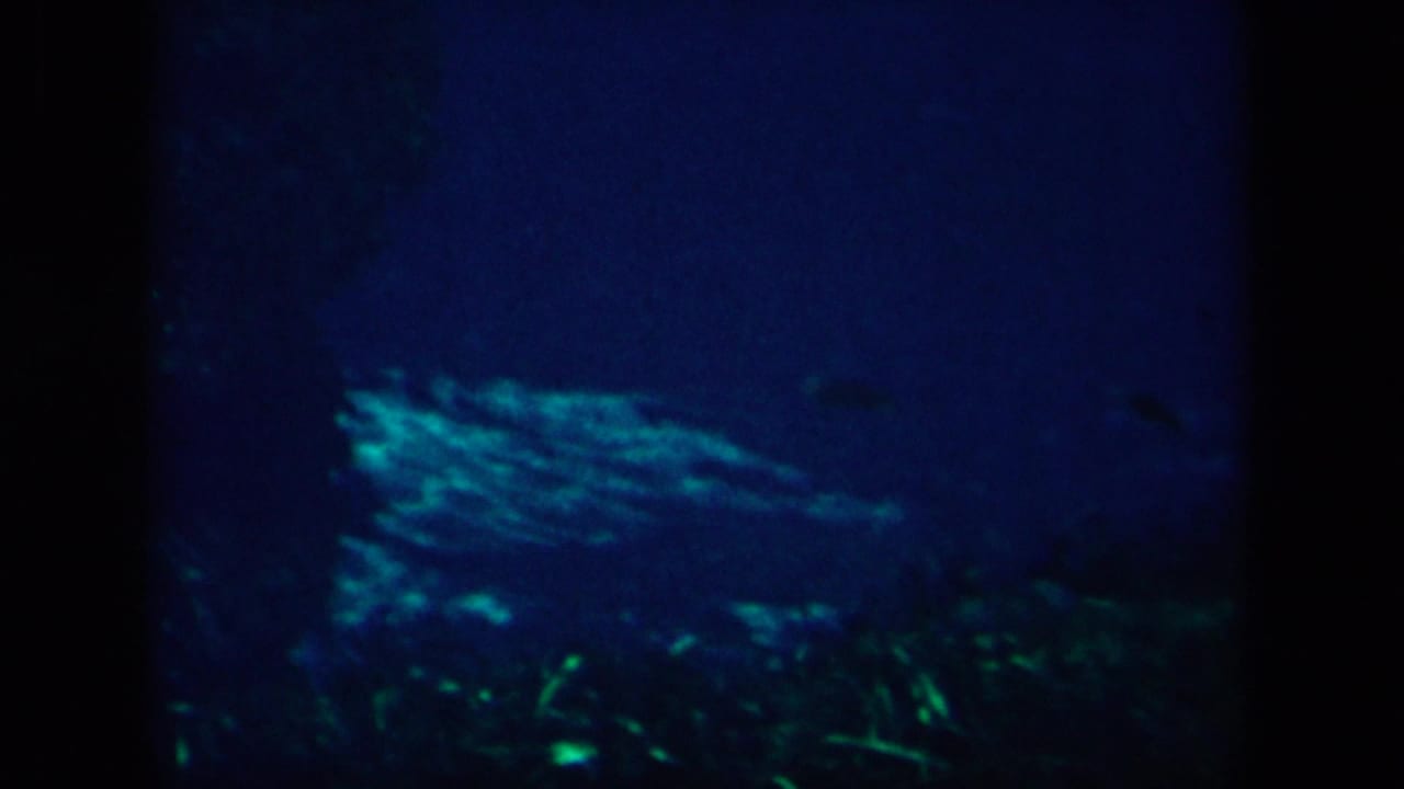 Dark blue underwater scene with green patches and soft aquatic shapes.