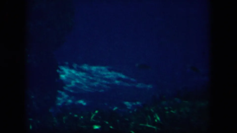 1958 8mm New Orleans travel footage showing dim blue underwater scenery with greenish highlights and indistinct marine forms.