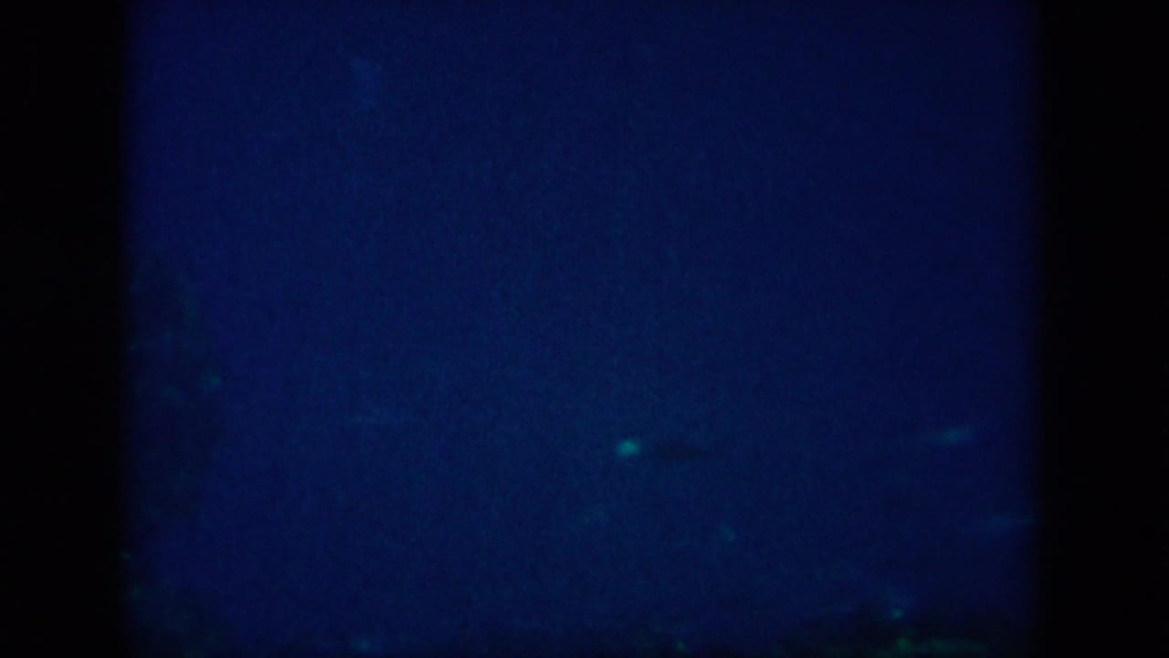 Dim blue underwater frame with faint fish-like movement and dark borders.