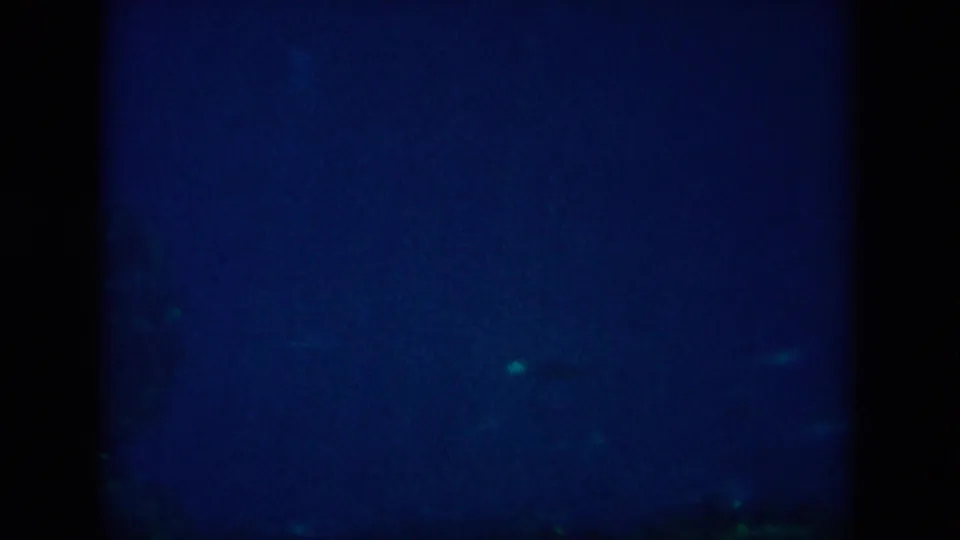 Low-light 1958 8mm underwater view from New Orleans travel footage, with faint fish-like shapes in dark blue water.