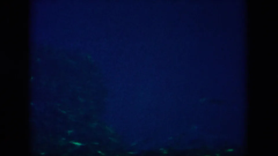 Grainy 1958 8mm underwater travel frame with dense blue darkness and scattered green highlights near the lower edge.