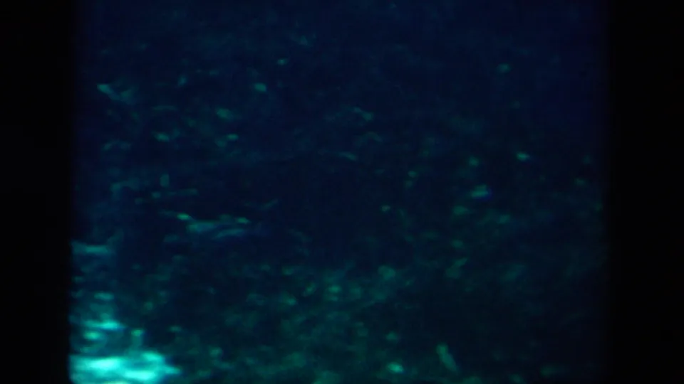 1958 8mm New Orleans underwater footage showing blue water, green-lit lower areas, and indistinct fish or aquatic movement.
