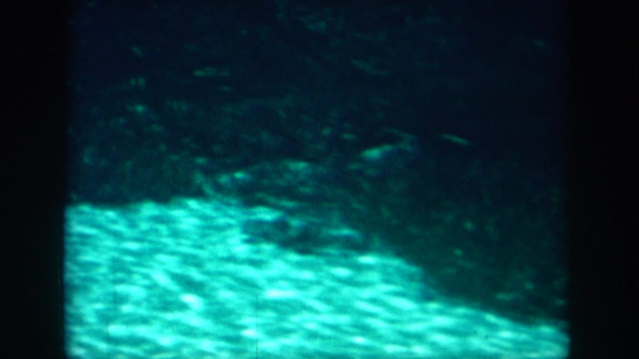 1958 New Orleans home-movie frame showing a murky turquoise underwater view with rippled bottom texture and heavy film borders.
